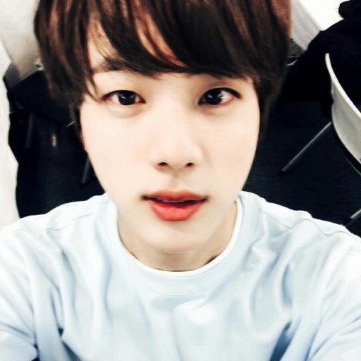 방탄소년단 진(BTS -JIN)