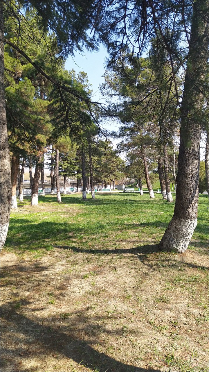 Грузия Гори Природа