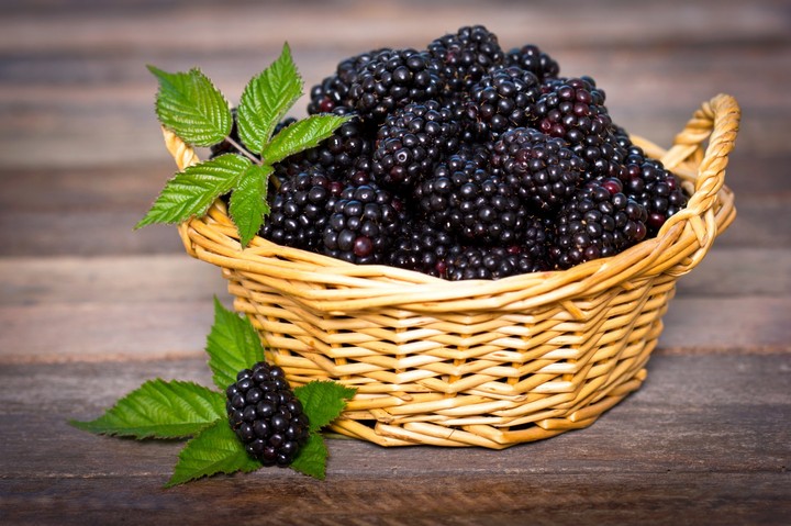 blackberry