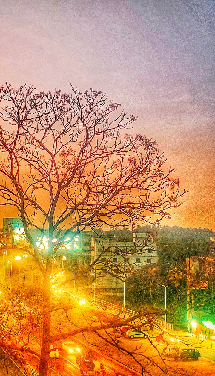 tree