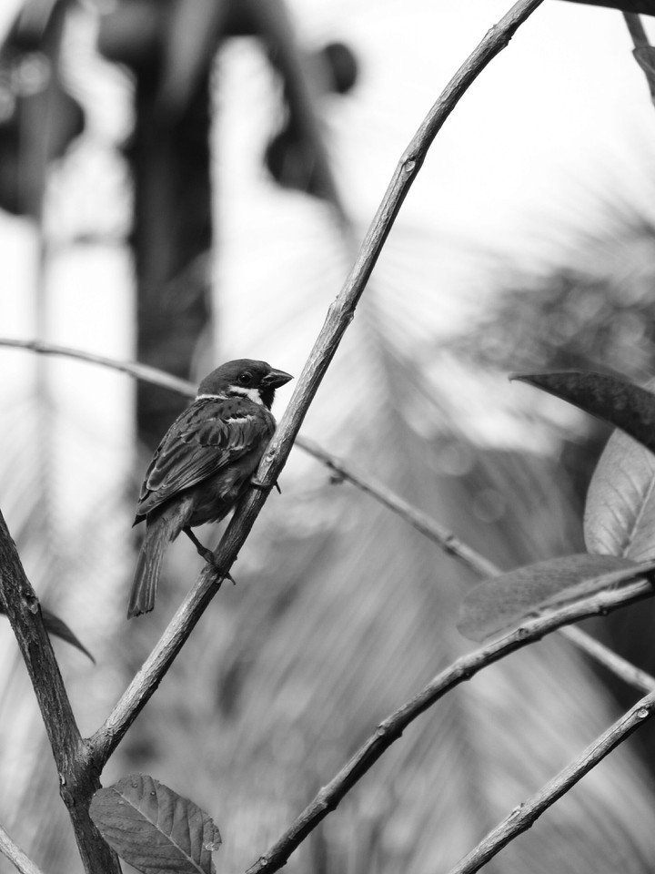 alone