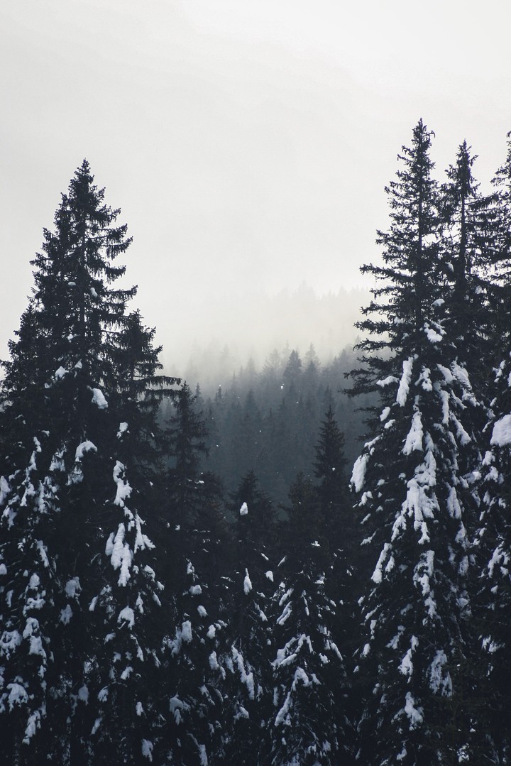 misty