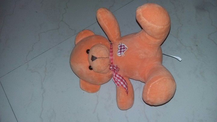 Teddy