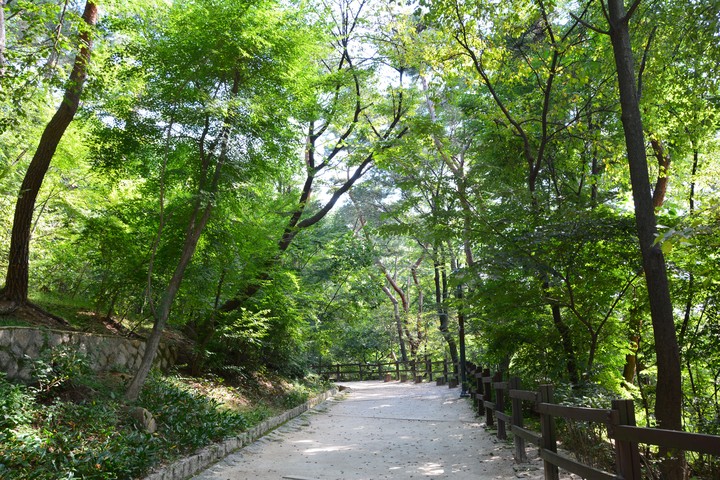 풍경이미지