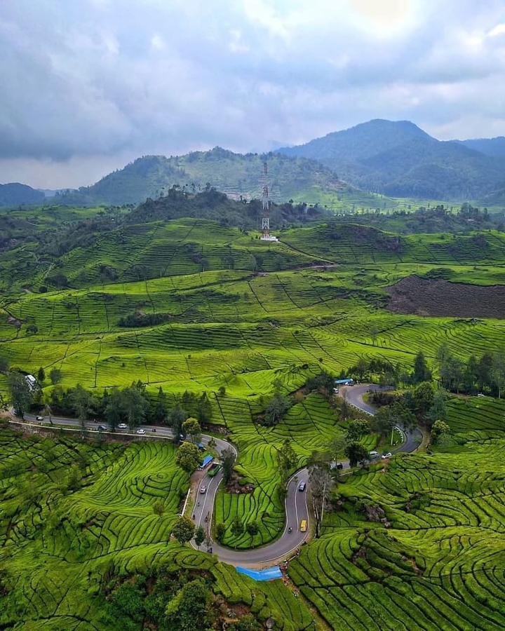 green mountain