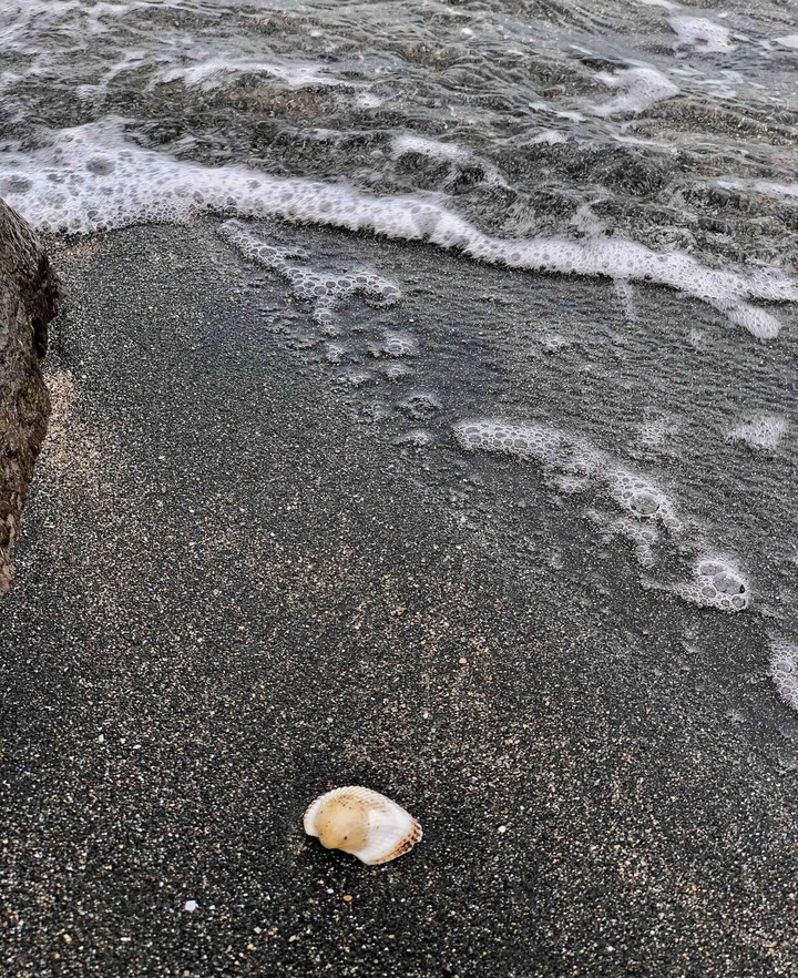 shell