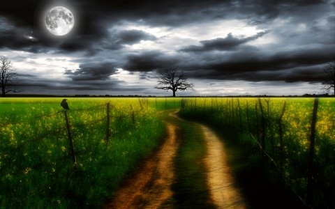 moon&country road