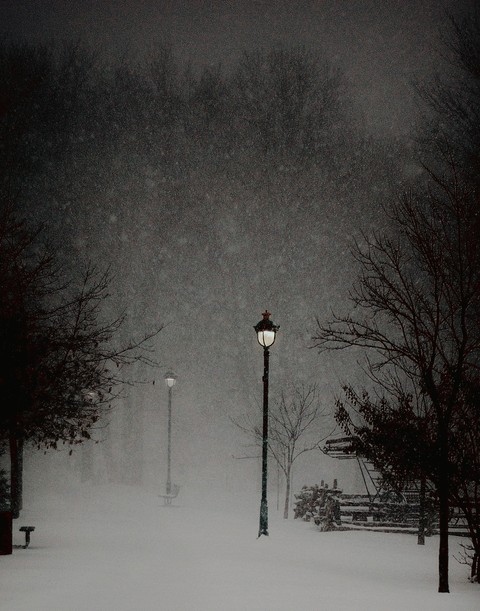 Winter ⛄