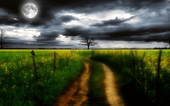 moon&country road