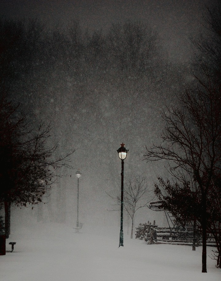 Winter ⛄