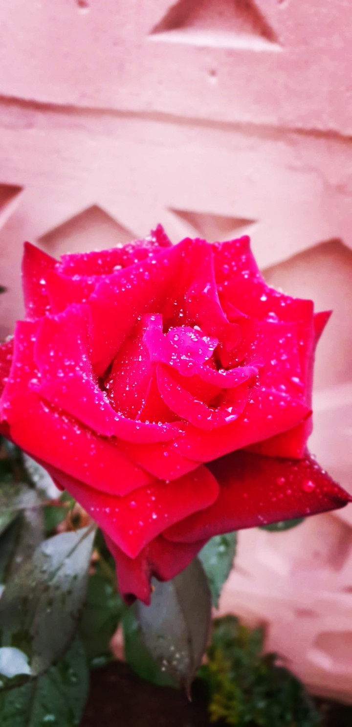 Rain on me