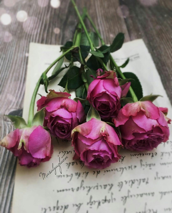 When Love is Expressed in a Million Words....