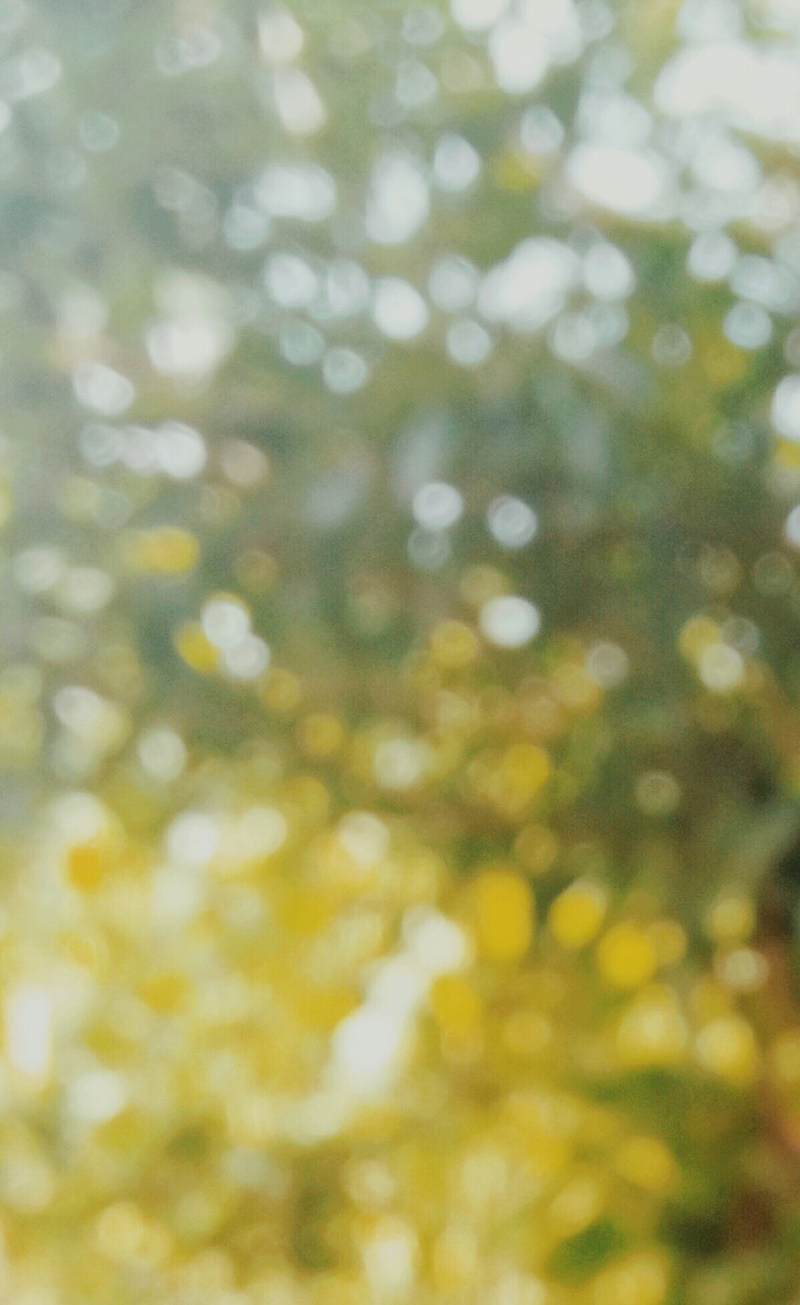 bokeh