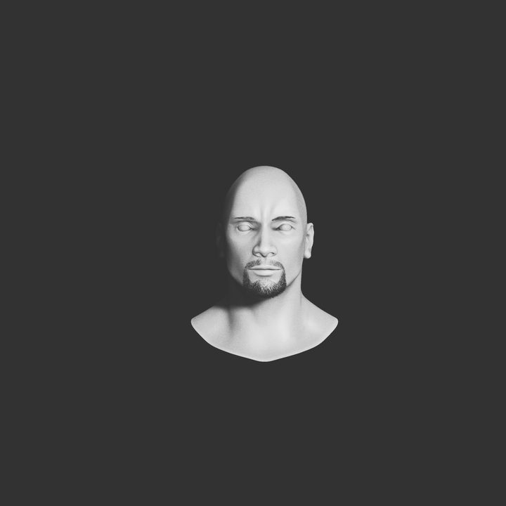 Dwayne Johnson The Rock
