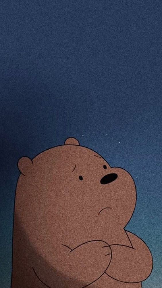 ✨