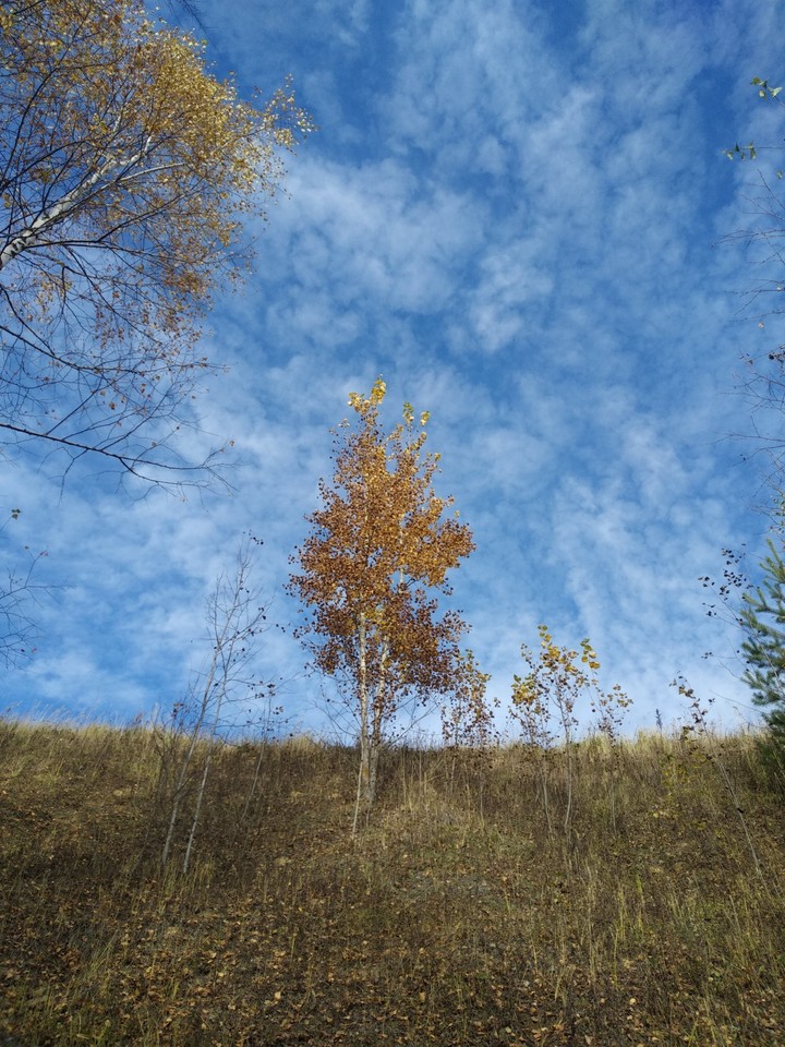осень