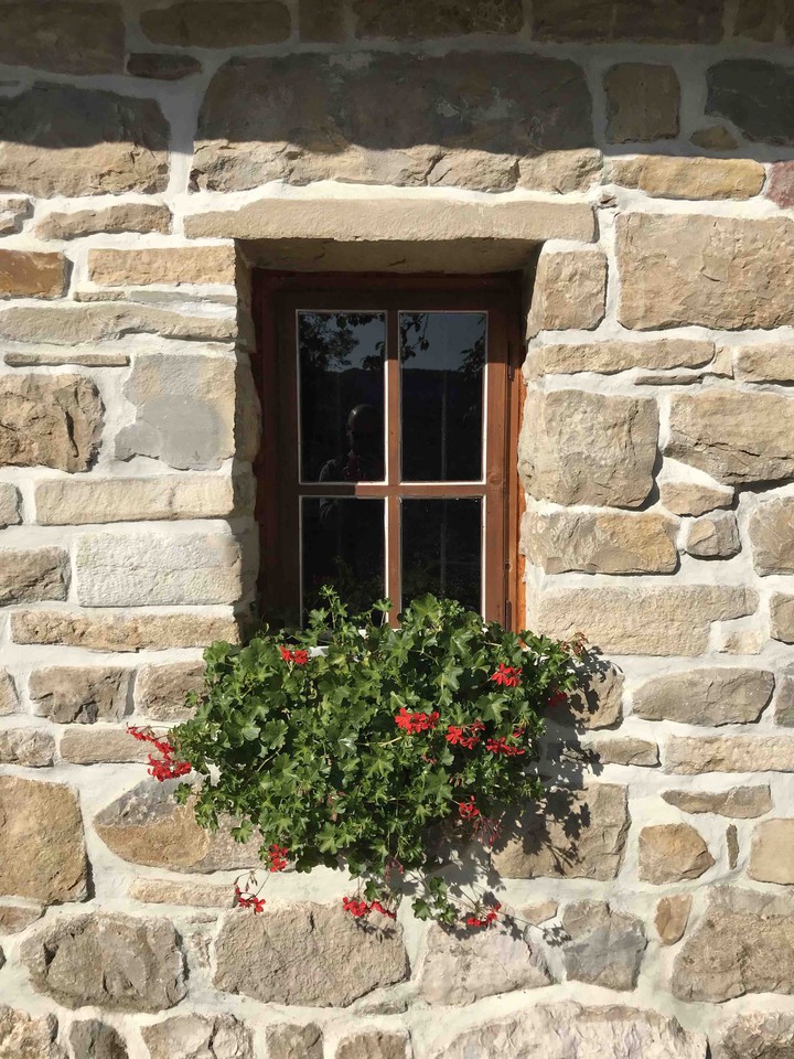 window woth flowers