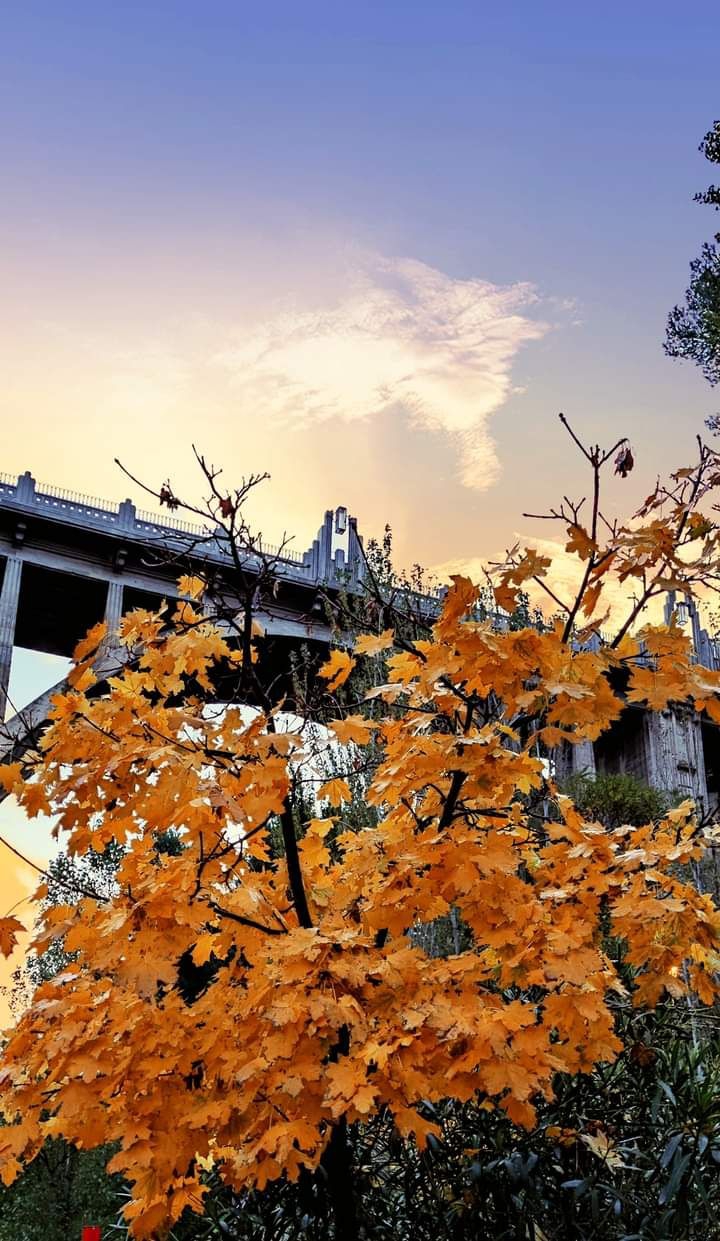 autum in the city