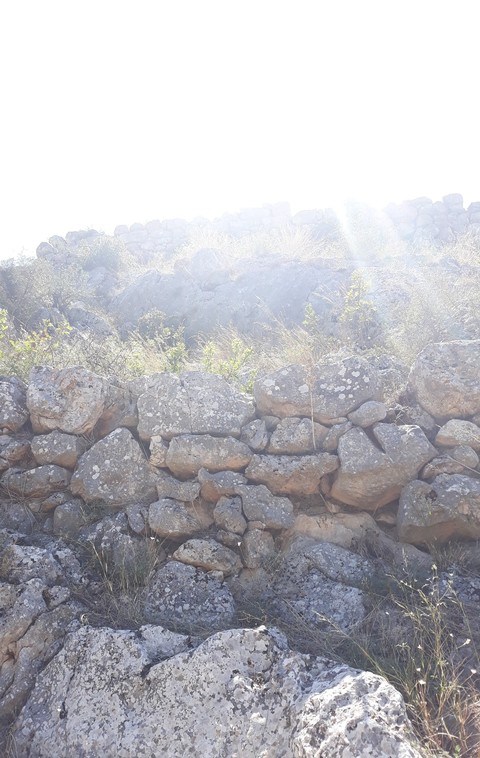 רקעים soil, sky