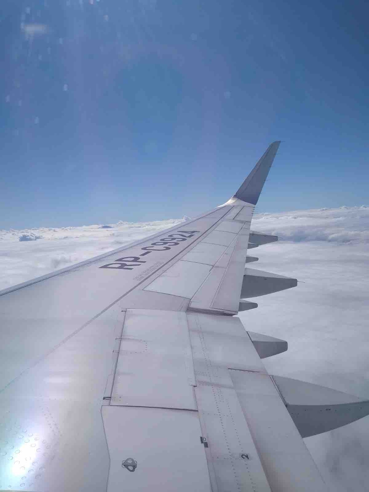 flying with wings