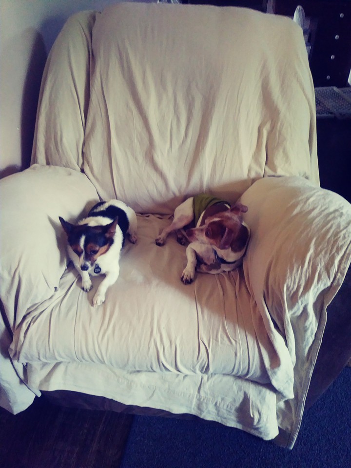 #adorable