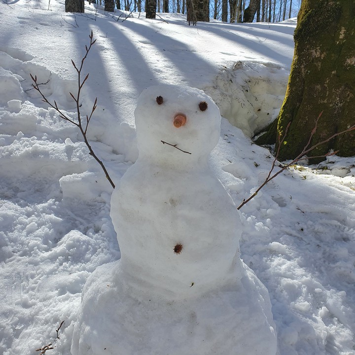 snow neve