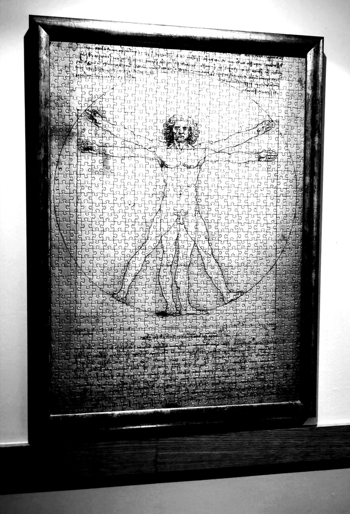 Vincent Da Vinci