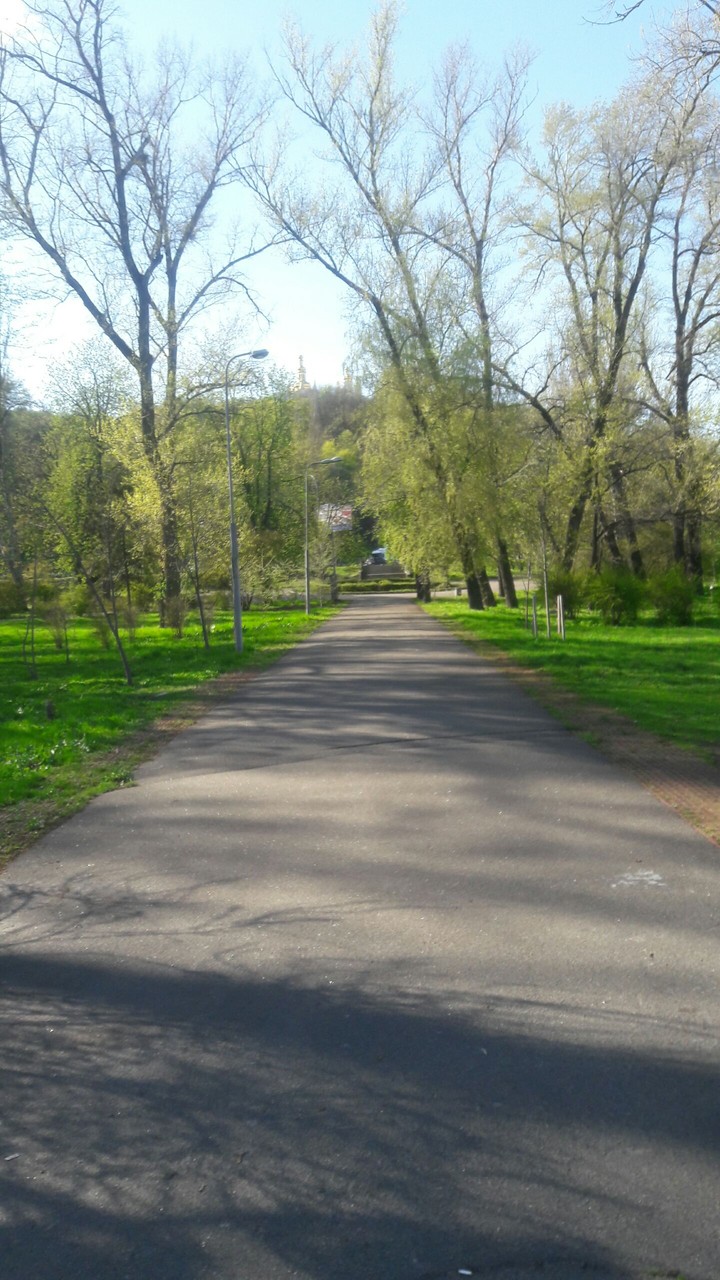 nature