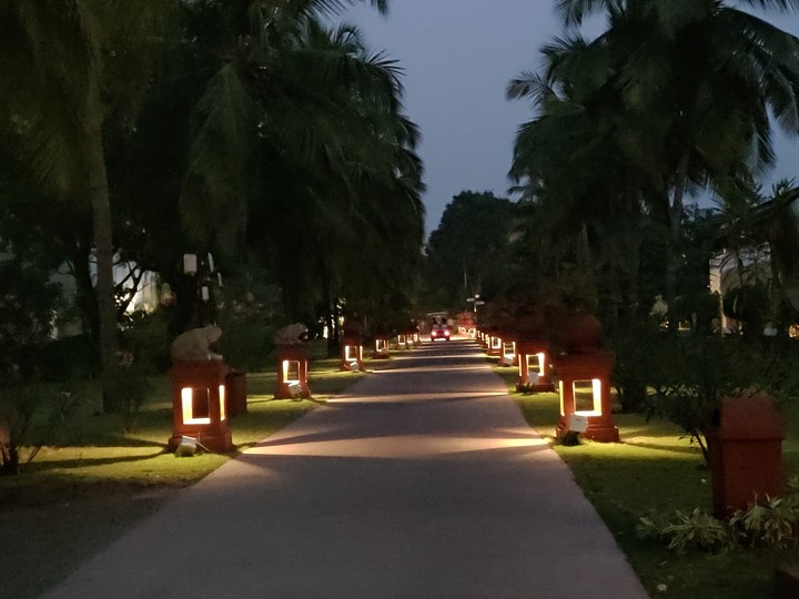 Dusk pathway!