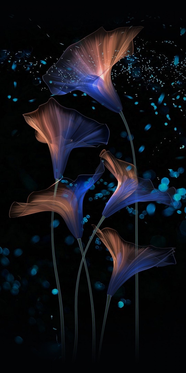 wallpaper background