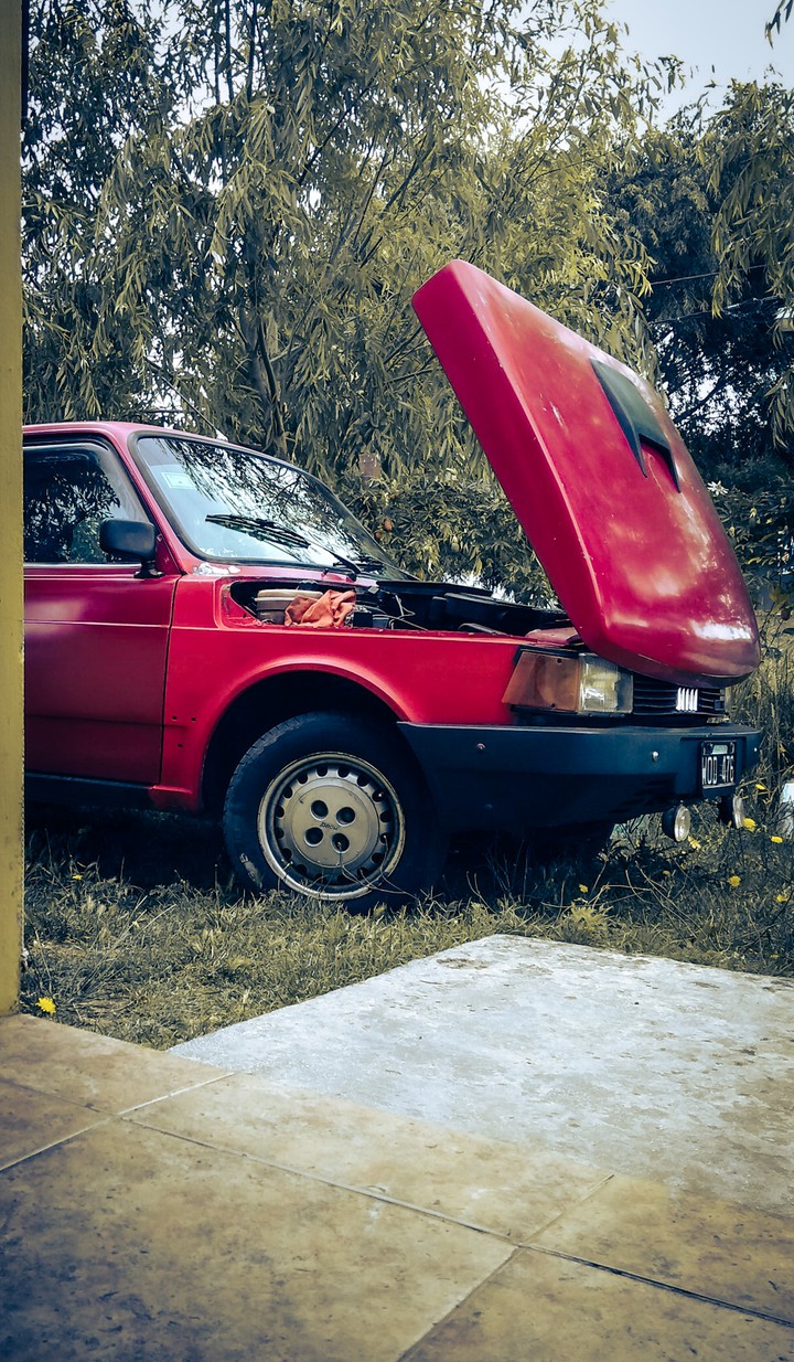 47 tuyu