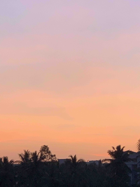 Natural Colors