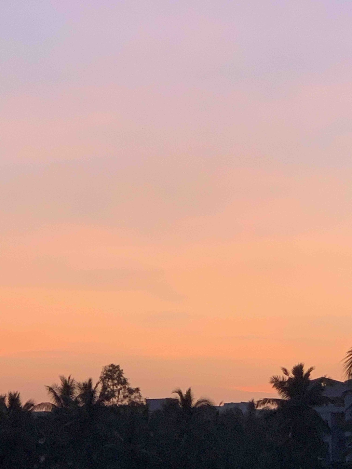 Natural Colors