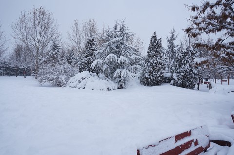 Winterland