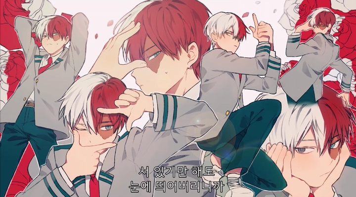 Todoroki