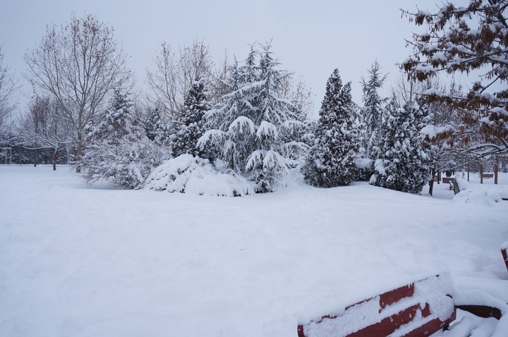 Winterland