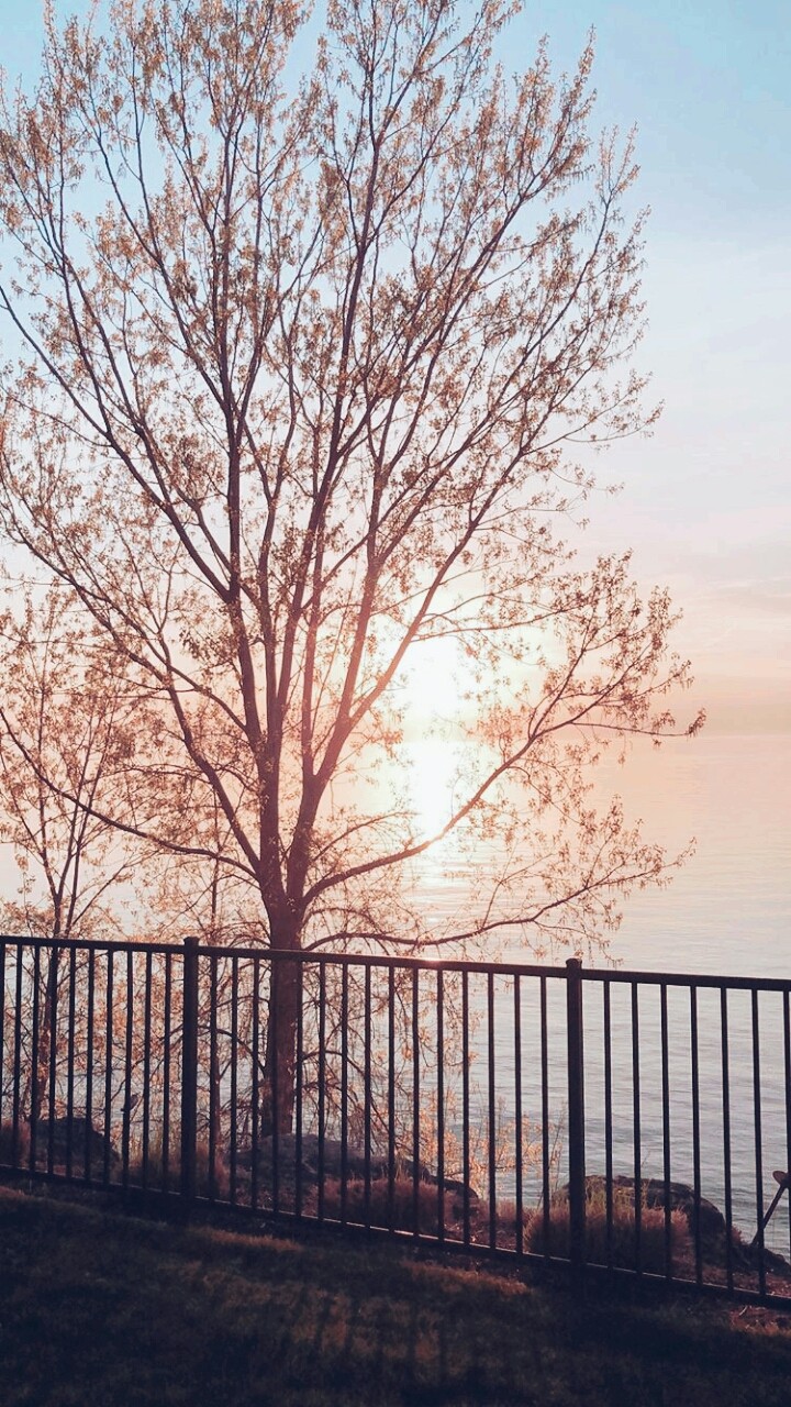 summertime sadness
