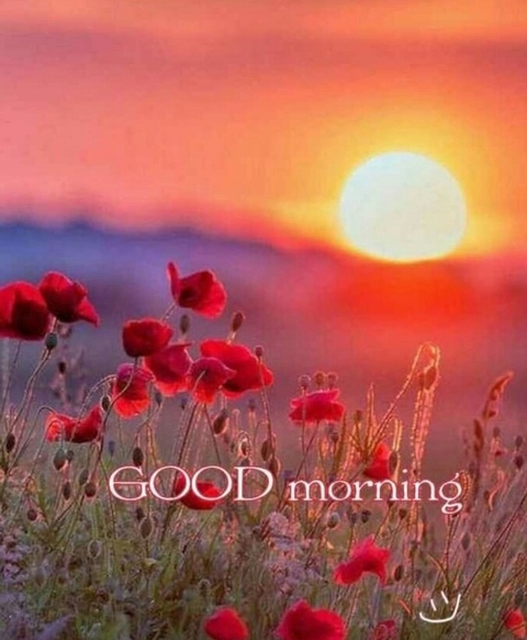 Gm