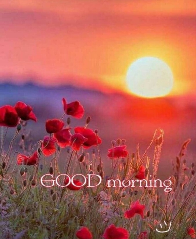 Gm