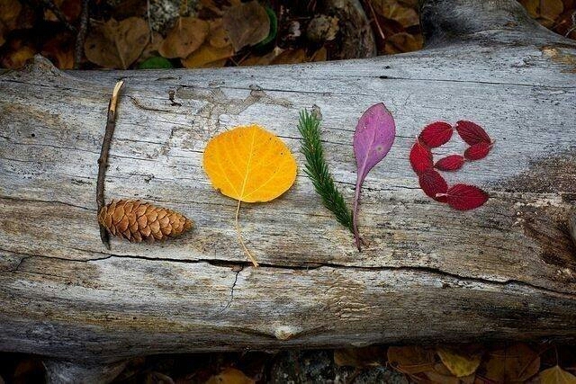 love