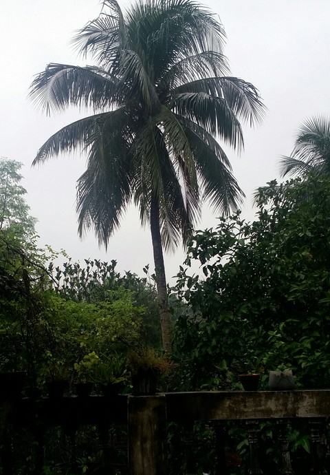 It's a rainy day