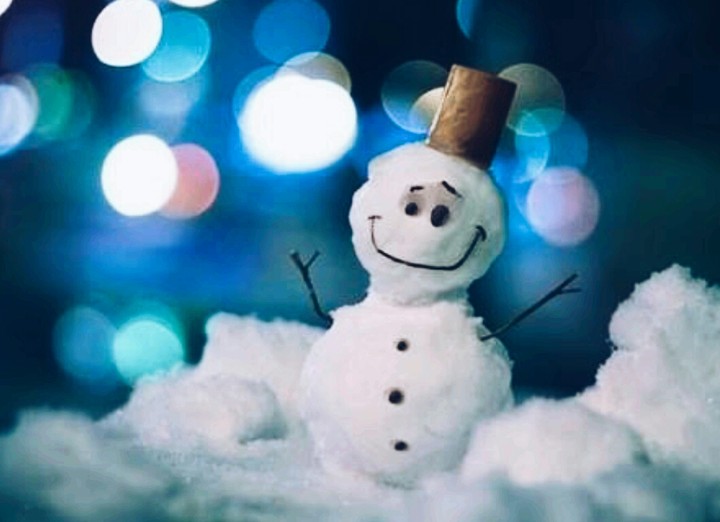 snowy❄