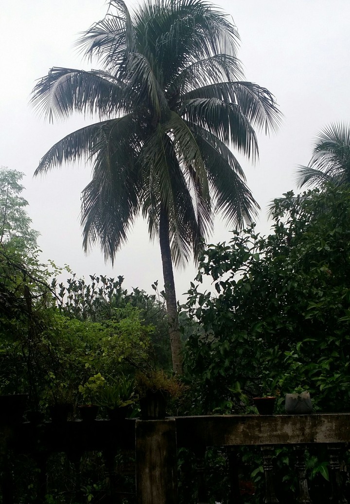 It's a rainy day