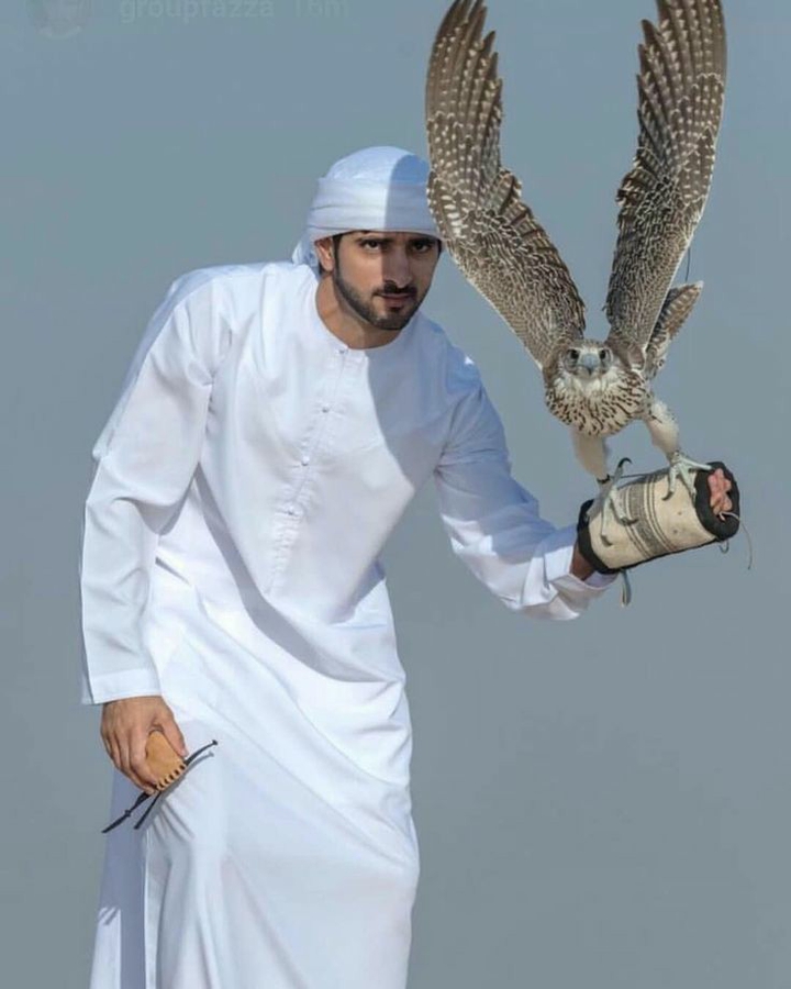 Shaikh Hamdan bin Mohamad bin Rashid al Maktoum (FAZZA)