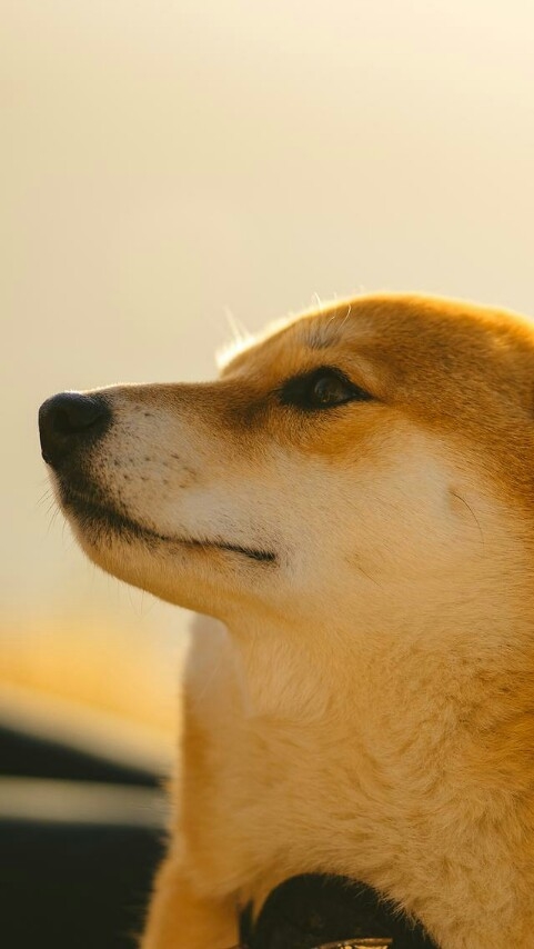 whats up