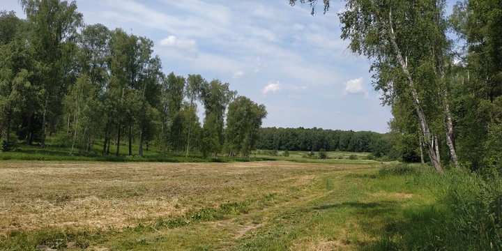 жара, запах сена, сплкойствие