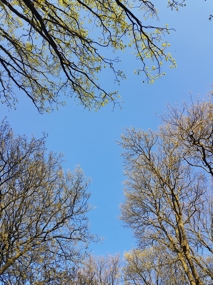 Sky is blue