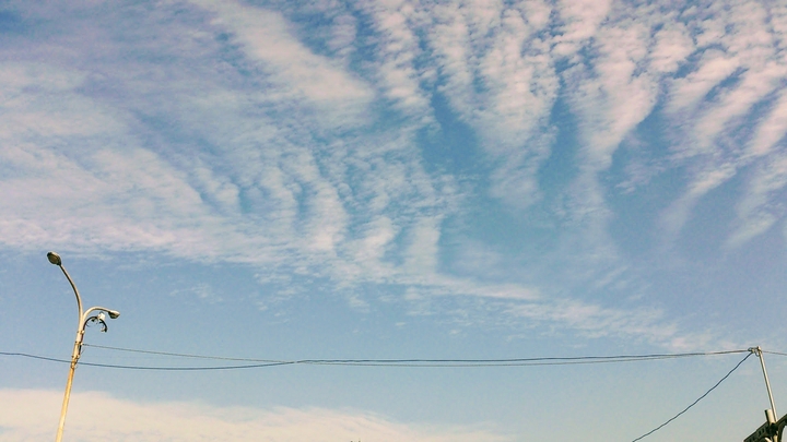 SKY