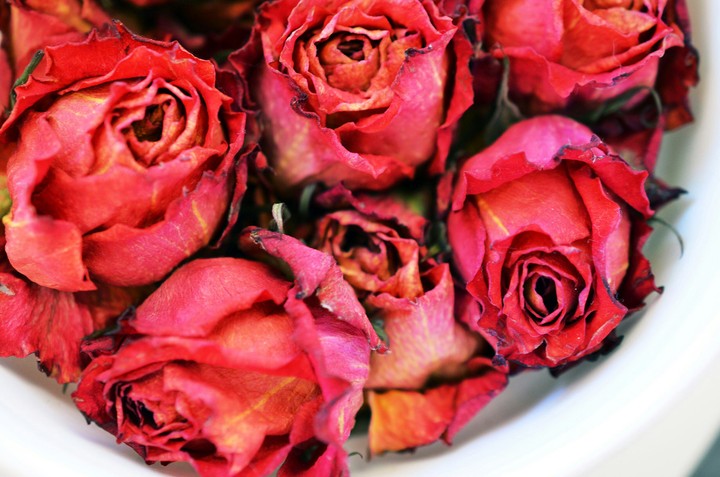 rose