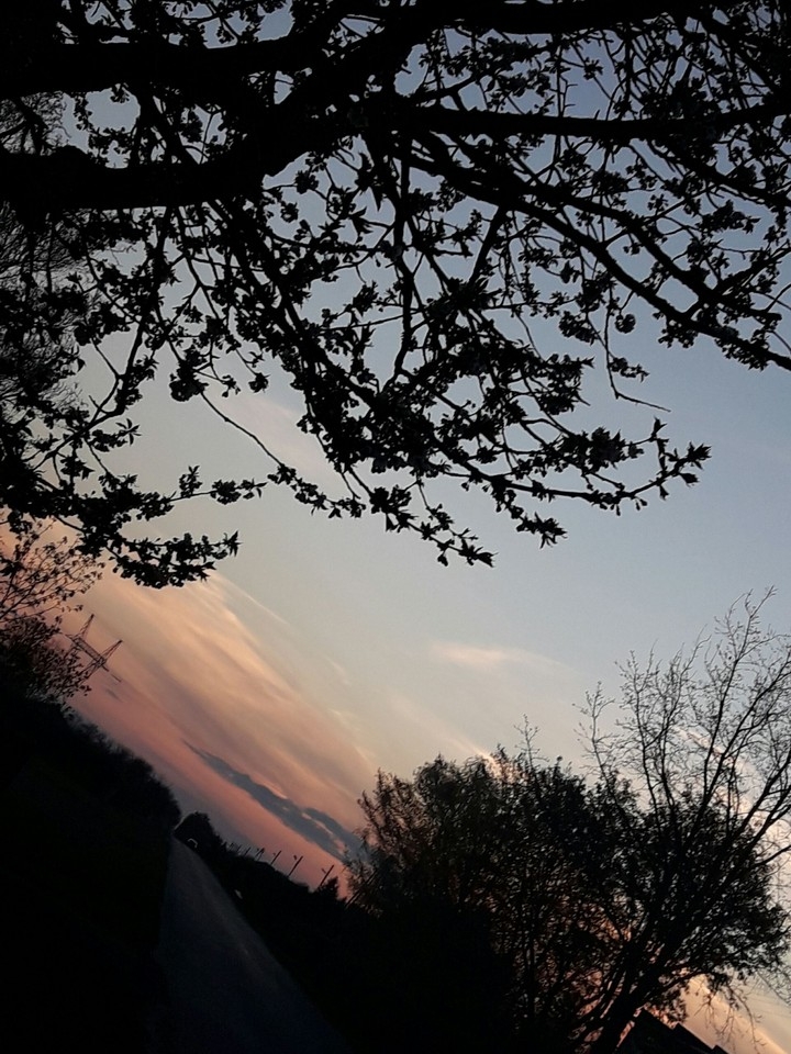 Summer evening